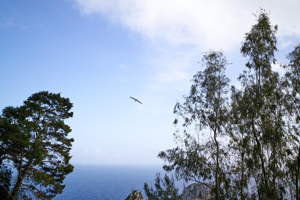 Villacore Capri Pokoj fotografie